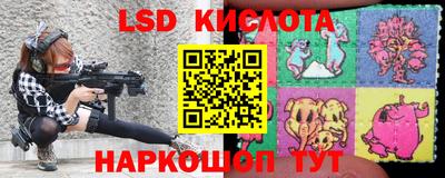 гашик Будённовск