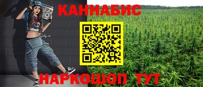 гашик Будённовск