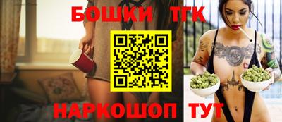 гашик Будённовск