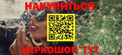гашик Будённовск