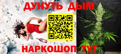 гашик Будённовск