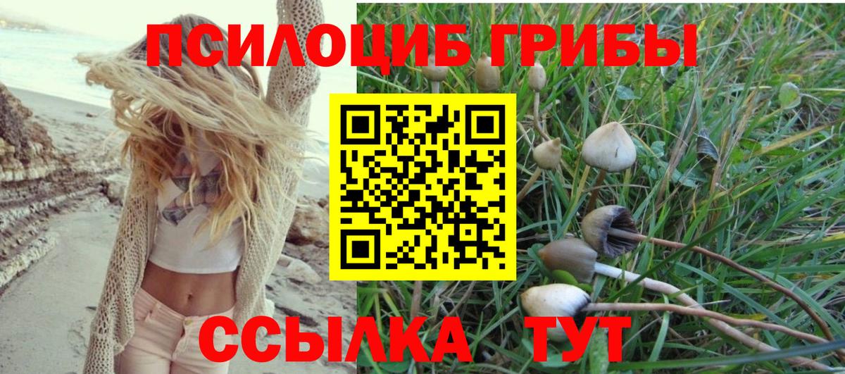 Галлюциногенные грибы мицелий  Вход с VPN  Саров  Галлюциногенные грибы мицелий 